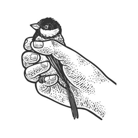 T Tit